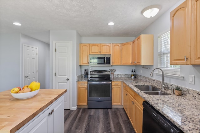 kitchen featuring appliances with stainless steel finishes, a sink, light brown cabinets, dark wood finished floors, and wooden counters