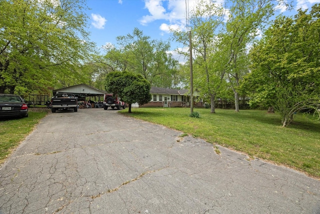 single story home featuring driveway, a carport, and a front lawn