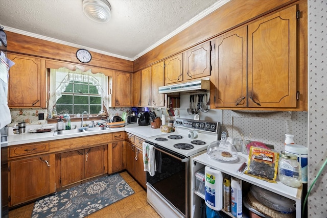 kitchen with a textured ceiling, a sink, ornamental molding, white range with electric stovetop, and under cabinet range hood