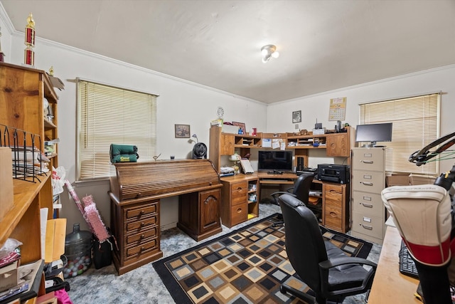 carpeted home office with ornamental molding