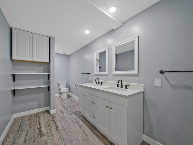 3120 Trenton Rd, Clarksville, TN 37040 - bathroom featuring double vanity, a sink, wood finished floors, and toilet