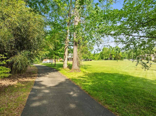view of home's community featuring a yard