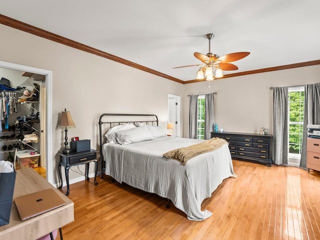 bedroom featuring light wood-style floors, a ceiling fan, crown molding, and a walk in closet