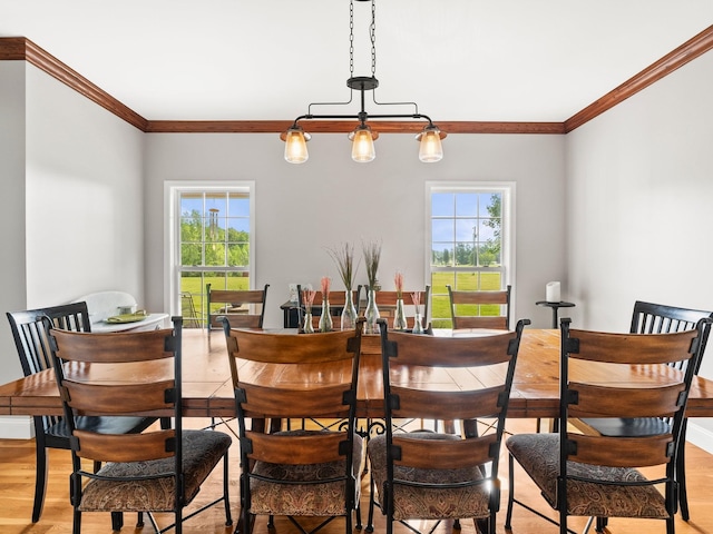dining room with ornamental molding, light wood finished floors, and a healthy amount of sunlight