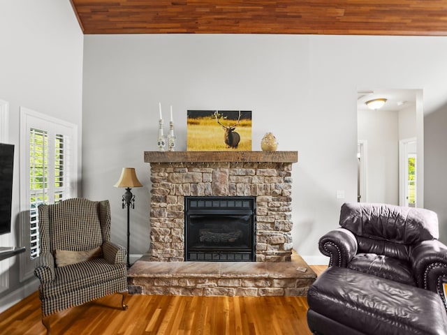 living room featuring wood finished floors and a fireplace