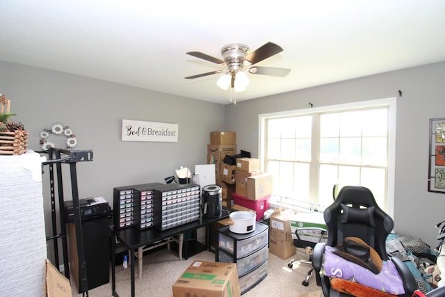 interior space with ceiling fan and carpet