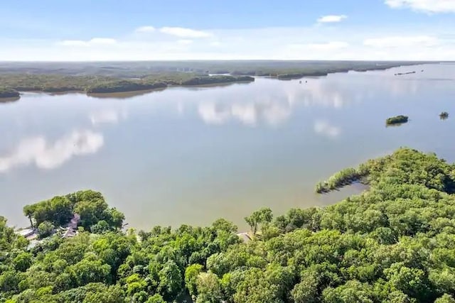 bird's eye view featuring a water view and a wooded view