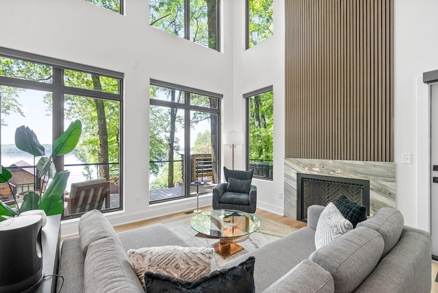living area featuring plenty of natural light, a premium fireplace, wood finished floors, and a towering ceiling