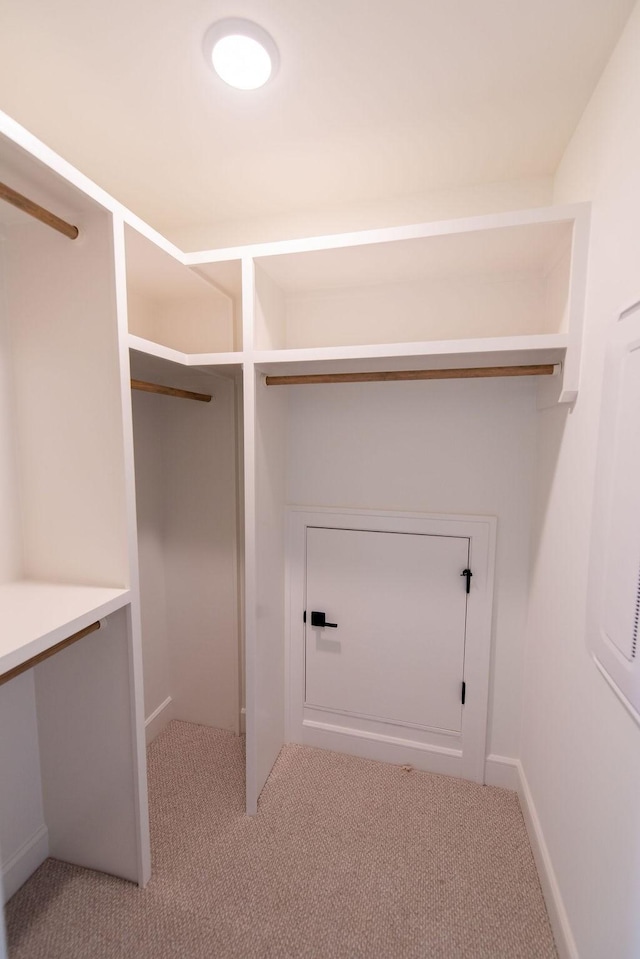 spacious closet with light colored carpet