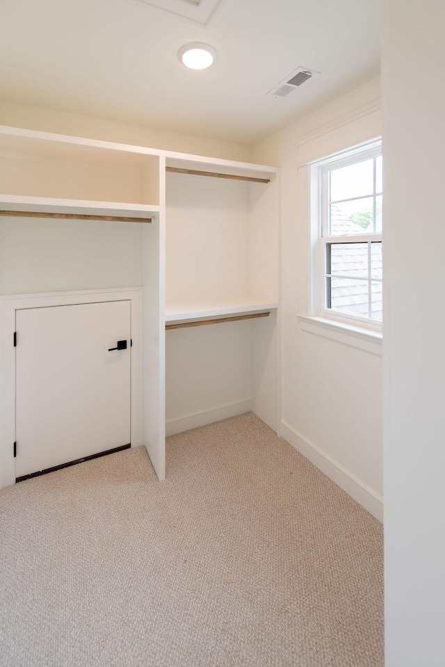 spacious closet with carpet floors and visible vents