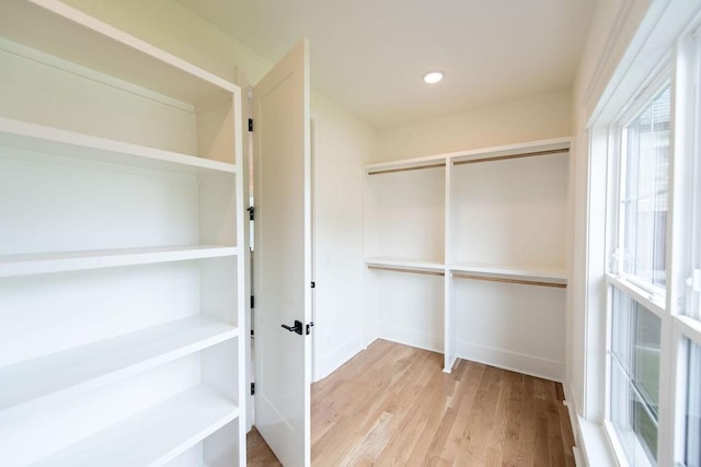 walk in closet with french doors and wood finished floors