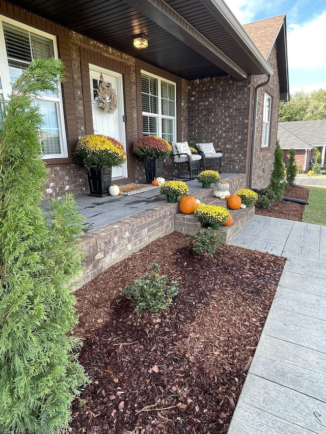 view of yard featuring covered porch