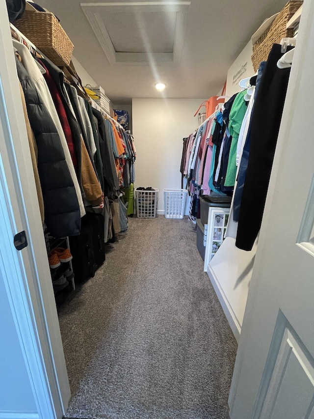 walk in closet with carpet and attic access
