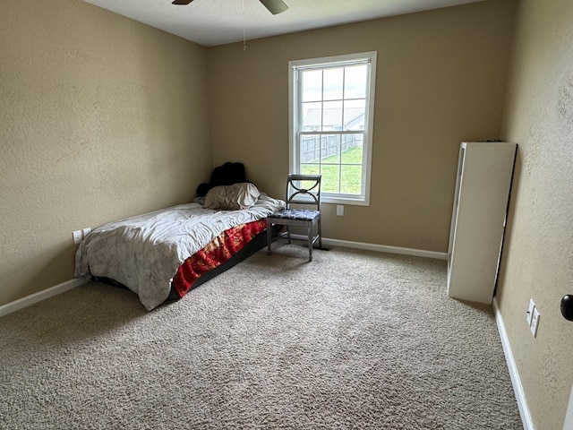 147 Daven Dr, Hopkinsville, KY 42240 - photo 11