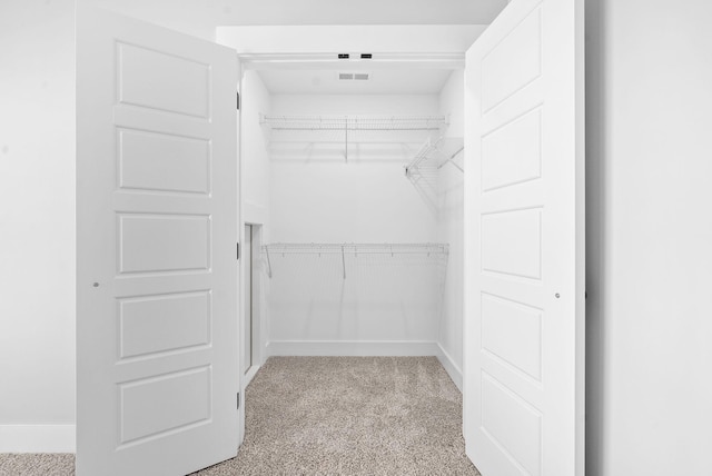 603 Summerfield, Clarksville, TN 37040 - spacious closet featuring light carpet