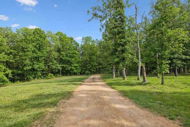790 Noah Dr, Hohenwald, TN 38462 - view of street with a wooded view