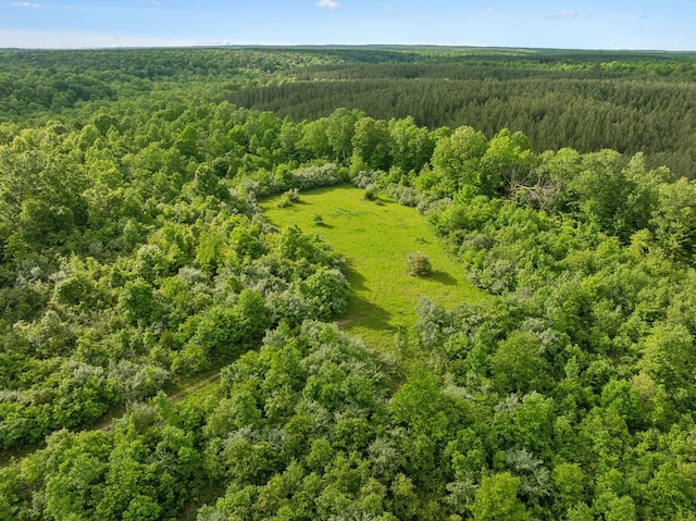 790 Noah Dr, Hohenwald, TN 38462 - bird's eye view with a wooded view