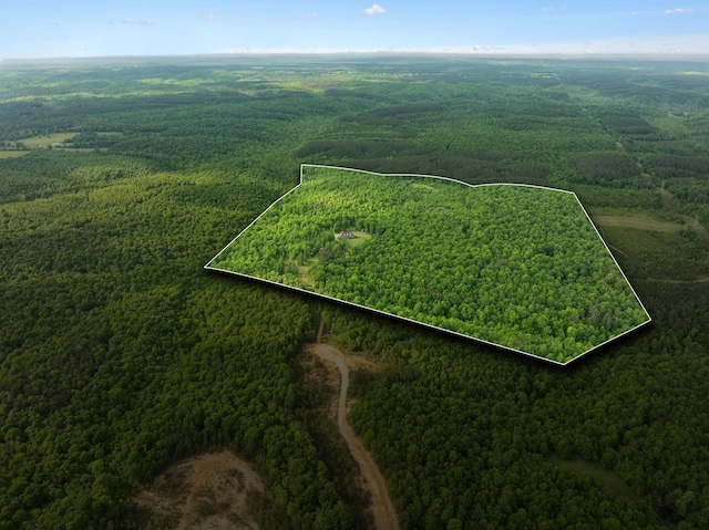 790 Noah Dr, Hohenwald, TN 38462 - bird's eye view featuring a forest view