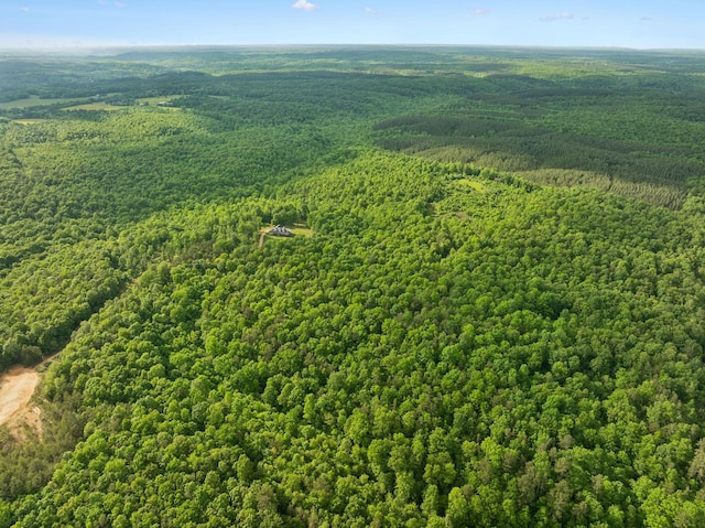790 Noah Dr, Hohenwald, TN 38462 - birds eye view of property featuring a wooded view