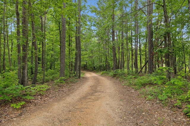 790 Noah Dr, Hohenwald, TN 38462 - view of street featuring a wooded view