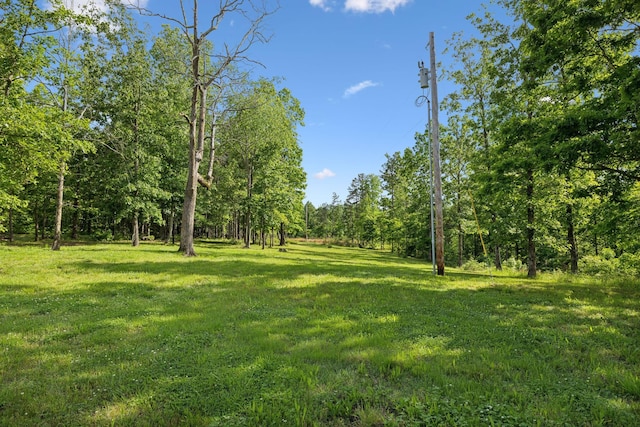 790 Noah Dr, Hohenwald, TN 38462 - view of yard