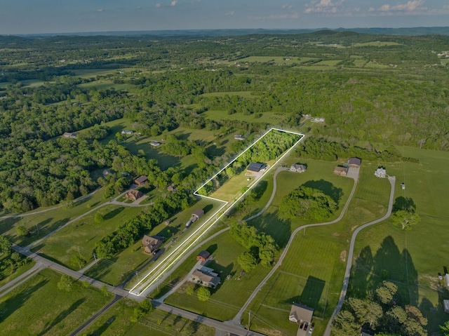bird's eye view