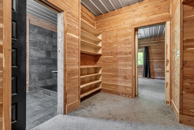 interior space featuring wooden walls and carpet floors