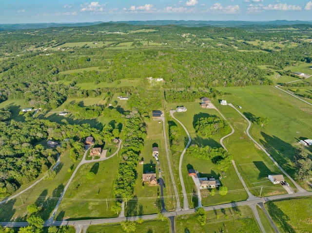 drone / aerial view