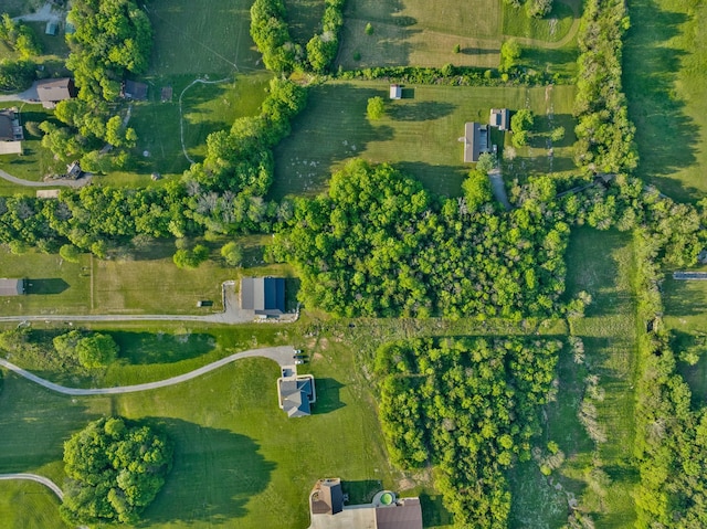 bird's eye view