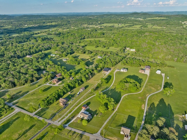 bird's eye view