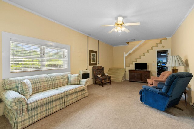 188 Trotters Cir, Estill Springs, TN 37330 - photo 37