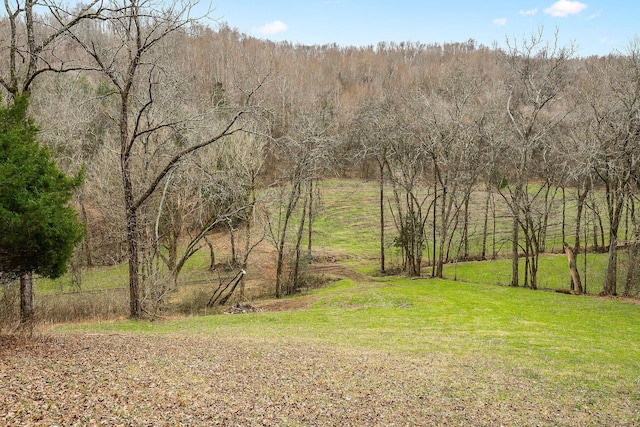 584 Lancaster Hwy, Hickman, TN 38567 - view of yard featuring a wooded view
