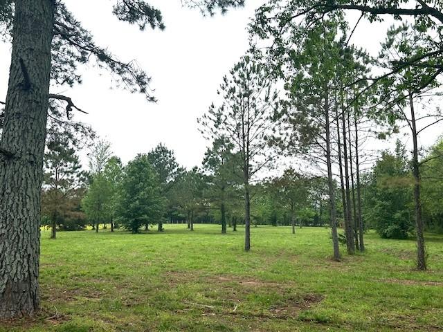 1712 Franklin Pike, Lewisburg, TN 37091 - view of landscape