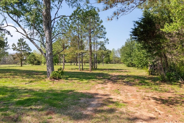 1712 Franklin Pike, Lewisburg, TN 37091 - view of yard