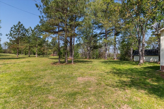 1712 Franklin Pike, Lewisburg, TN 37091 - view of yard