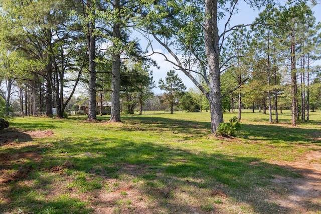 1712 Franklin Pike, Lewisburg, TN 37091 - view of yard