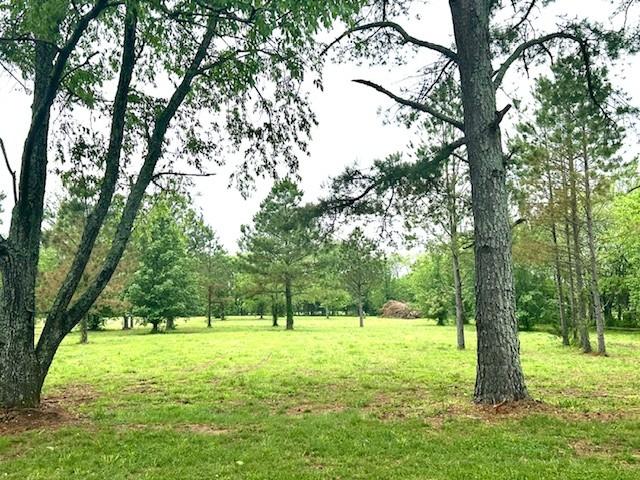 1712 Franklin Pike, Lewisburg, TN 37091 - view of local wilderness