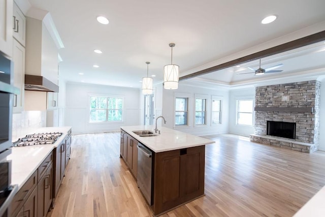 kitchen with a sink, appliances with stainless steel finishes, light wood-type flooring, and a wealth of natural light