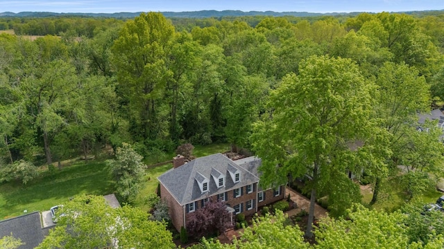 173 Riverwood Dr, Franklin, TN 37069 - photo 35