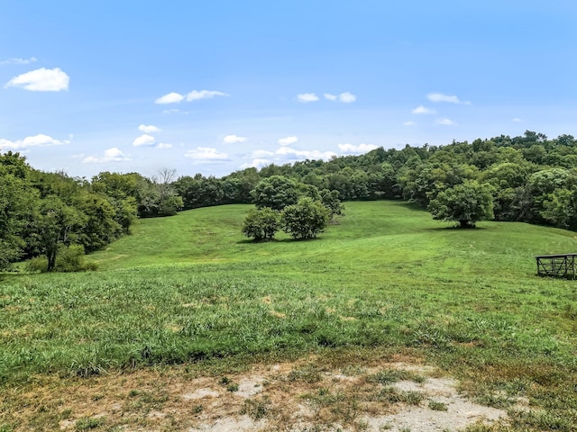 view of undeveloped land