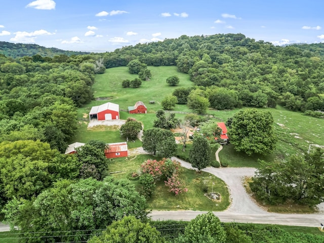 drone / aerial view of a forest
