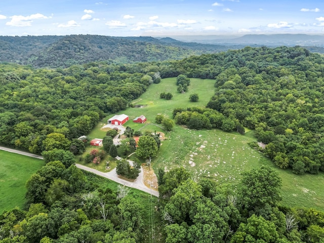 bird's eye view of a forest and a mountainous background