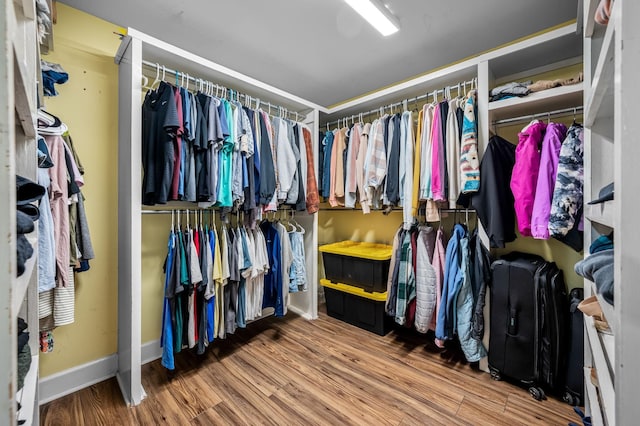 walk in closet with wood finished floors
