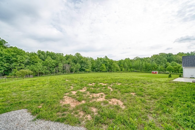 view of yard featuring a wooded view
