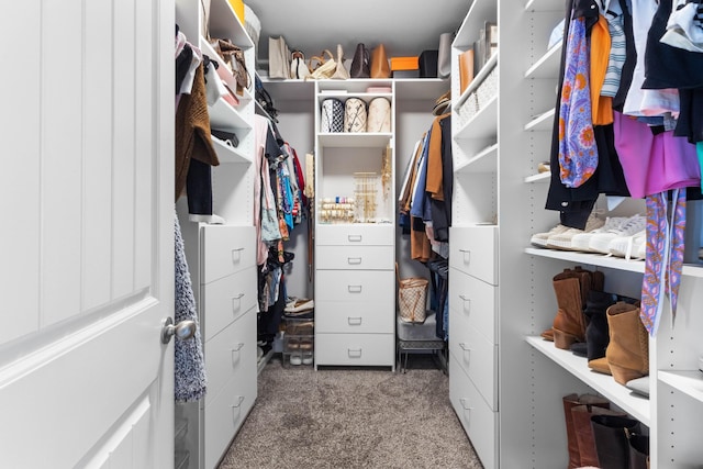 1132 Upland Ter, Clarksville, TN 37043 - walk in closet featuring carpet floors