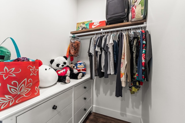 walk in closet featuring dark wood-style floors