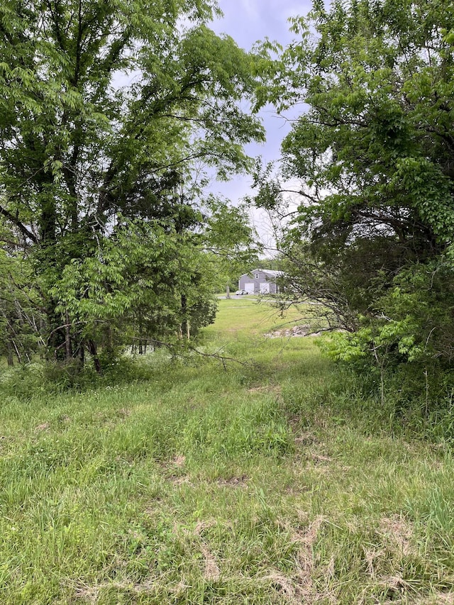 view of nature
