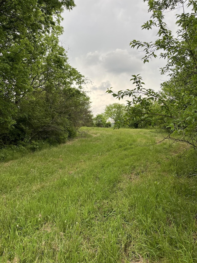 view of nature