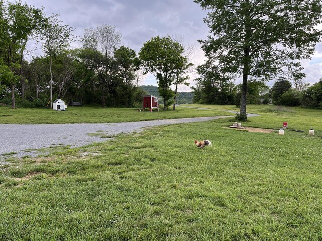 view of yard with a storage shed and an outdoor structure