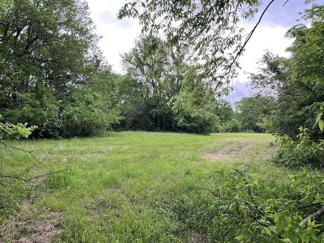 view of yard featuring a view of trees